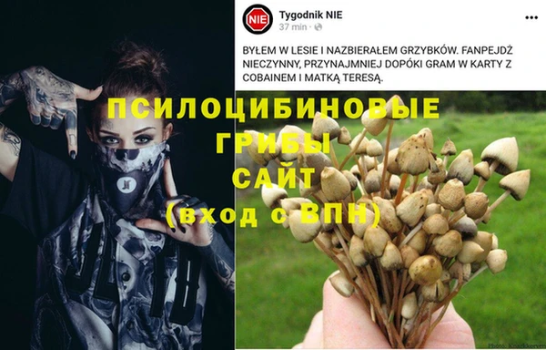 гашик Богородск