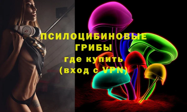 хмурый Богданович