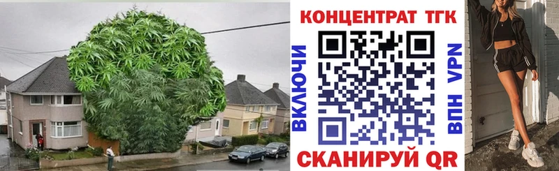 Дистиллят ТГК THC oil  MEGA tor  Минеральные Воды 