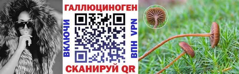 darknet наркотические препараты  Минеральные Воды  Псилоцибиновые грибы мухоморы 